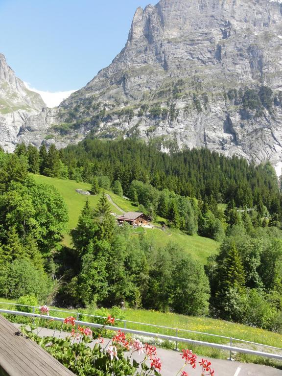 Hotel Bluemlisalp Гринделвалд Екстериор снимка